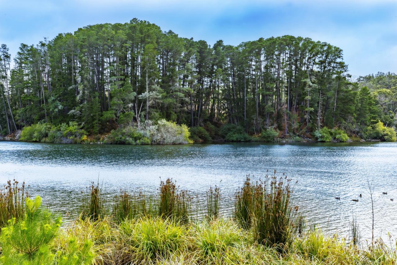 The Sebel Creswick Forest Resort Екстериор снимка
