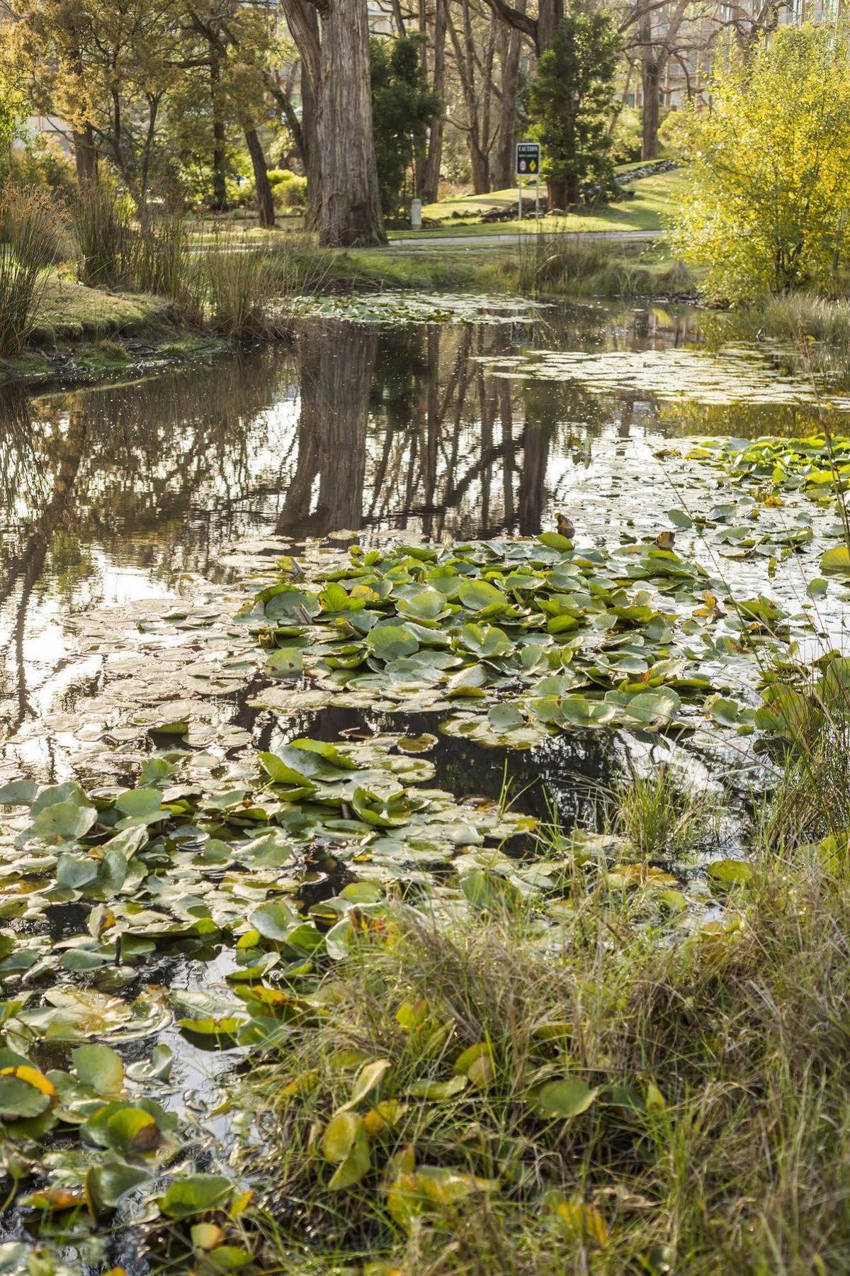 The Sebel Creswick Forest Resort Екстериор снимка